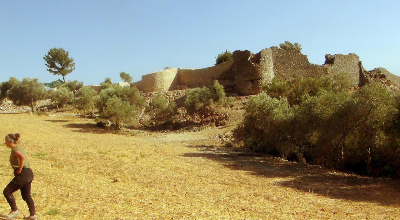 10 aylık kazı çalışması sonucu kale surları ortaya çıktı